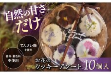お花の クッキー アソート 1ケース（10個入り）＜自然と暮らす ぐりーん＞ [CEM008] クッキー スイーツ かわいい おしゃれ クッキー お菓子 贈答 ギフト 贈り物 プレゼント 