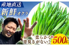 【6月より順次発送】 オクラ 約500g  長崎 西海 オクラ おくら 贈答 ギフト ＜パッパラパー農園＞ [CFI007] 1万円 10000円 1万円以下 10000円以下