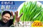オクラ 500g おくら 新鮮