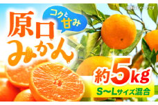 【12月より発送開始】 原口みかん 約 5kg （S～Lサイズ混合） 長崎 西海 みかん ミカン 原口みかん 5kg みかん ＜横坂農園＞ [CFW001] 