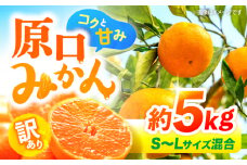 【12月より発送開始】【 訳あり 】 原口みかん （S～Lサイズ混合） 約5kg   長崎 西海 みかん ミカン 原口みかん 5kg みかん ＜横坂農園＞ [CFW002]