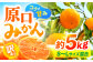 みかん 5kg 訳あり
