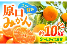 【12月より発送開始】 原口みかん 約10kg （S～Lサイズ混合） 長崎 西海 みかん ミカン 原口みかん 5kg 10kg みかん ＜横坂農園＞ [CFW003] 