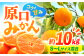 みかん 10kg 