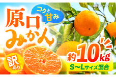【12月より発送開始】【 訳あり 】 原口みかん 約10kg （S～Lサイズ混合）  長崎 西海 みかん ミカン 原口みかん 5kg 10kg みかん 訳あり ＜横坂農園＞ [CFW004]