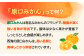 みかん 10kg 訳あり