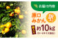 みかん 10kg 訳あり