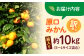 みかん 10kg 訳あり