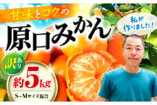 みかん 【ご家庭用】【訳あり】 原口みかん 約 5kg（S～Mサイズ混合） ＜最強の兼業農家山田さん＞ [CCX009] 長崎 西海 みかん ミカン 蜜柑 柑橘 みかん 温州みかん 訳あり みかん