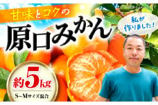 みかん 【贈答用】 原口みかん 約 5kg（S～Mサイズ混合） ＜最強の兼業農家山田さん＞ [CCX010]  長崎 西海 みかん ミカン 蜜柑 柑橘 みかん 温州みかん 贈答 ギフト みかん