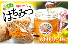 蜂蜜 はちみつ 【希少な日本ミツバチ】 国産 蜂蜜 約600g ～西海からの贈り物～＜おばま養蜂農園＞ [CFY001]  長崎 西海 蜂蜜 はちみつ ハチミツ 蜂蜜 はちみつ ハチミツ 国産蜂蜜 