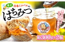国産 蜂蜜 【希少な日本ミツバチ】 国産 蜂蜜 約600g（約300g×2瓶） ～西海からの贈り物～＜おばま養蜂農園＞ [CFY002]  長崎 西海 蜂蜜 はちみつ ハチミツ 蜂蜜 はちみつ ハチミツ 国産蜂蜜 