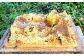 国産 蜂蜜 300g×2瓶