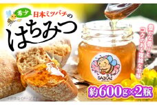 国産 蜂蜜 【希少な日本ミツバチ】 国産 蜂蜜 約1.2kg（約600g×2瓶） ～西海からの贈り物～＜おばま養蜂農園＞ [CFY004]  長崎 西海 蜂蜜 はちみつ ハチミツ 蜂蜜 はちみつ ハチミツ 国産蜂蜜 贈答 ギフト 