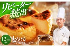 【日時指定可能】【スピード配送】【お盆期間中も発送】いわしたの バスクチーズケーキ 1個 ＜お菓子のいわした＞ [CAM068] 西海 ケーキ チーズケーキ バスクチーズ ケーキ 人気 高評価 お菓子 スイーツ クリスマス 誕生日ケーキ 記念日ケーキ おやつ 贈答 ギフト 9000円 9千円 10000円 1万円 お中元 お歳暮