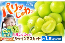 シャインマスカット 【2025年8月発送】約1.5kg（2房）＜濱崎農園＞ [CGN002] 長崎 西海 マスカット 甘い 果物 フルーツ 人気 高評価 シャインマスカット ますかっと しゃいんますかっと