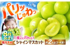 シャインマスカット 【2025年8月発送】約2kg（3～4房）＜濱崎農園＞ [CGN003] 長崎 西海 マスカット 果物 フルーツ シャインマスカット ますかっと