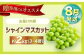シャインマスカット 2kg マスカット ぶどう シャインマスカット