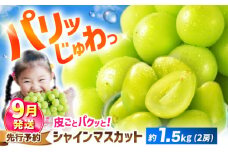 シャインマスカット 【2025年9月発送】約1.5kg（2房）＜濱崎農園＞ [CGN005] 長崎 西海 マスカット 果物 フルーツ シャインマスカット ますかっと しゃいんますかっと シャインマスカット 大粒 種なし 皮ごと