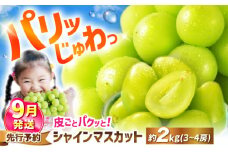 シャインマスカット 【2025年9月発送】 約2kg（3～4房）＜濱崎農園＞ [CGN006] 先行予約 ぶどう しゃいんますかっと ブドウ 葡萄 1キロ以上 1kg以上 2kg 鮮度抜群 種なし たねなし 皮ごと 大粒 朝採れ こだわり 期間限定 大粒