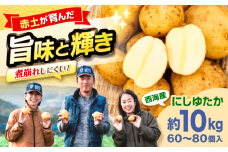 勝田農園の満々じゃがいも にしゆたか 約10kg（M〜Lサイズ混合）＜勝田農園＞ [CGM002] じゃがいも ぽてと いも 芋 野菜 産地直送 長崎 西海 ジャガイモ ポテト イモ にしゆたか