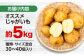 長崎 西海 じゃがいも