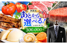 【あとから選べる！】西海市 ふるさとギフト 30万円分 和牛 ステーキ 卵 国産豚 [CZY005]