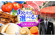 【あとから選べる！】西海市 ふるさとギフト 50万円分 和牛 ステーキ 卵 国産豚 [CZY006]