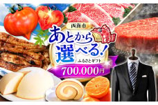 【あとから選べる！】西海市 ふるさとギフト 70万円分 和牛 ステーキ 卵 国産豚 [CZY007]