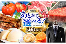 【あとから選べる！】西海市 ふるさとギフト 500万円分 和牛 ステーキ 卵 国産豚 [CZY010]