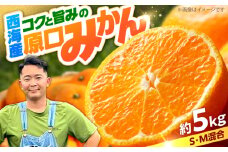 【数量限定】 原口 みかん 約5kg （傷み保証分200g含む）＜田川農園＞ [CGR001] みかん ミカン 柑橘 フルーツ 西海 オレンジ
