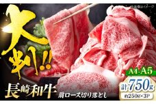 切り落とし 【A4～A5】 長崎和牛 大判 霜降り 切り落とし 計750g（250g×3P）＜株式会社MEAT PLUS＞ [CFT027] 長崎 西海 和牛 牛肉 すき焼き ブランド牛 切り落とし 高評価 人気 霜降り すき焼き しゃぶしゃぶ