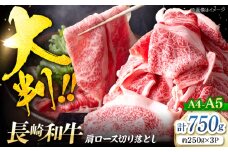 切り落とし 【A4～A5】 長崎和牛 大判 霜降り 切り落とし 計750g（250g×3P）＜株式会社MEAT PLUS＞ [CFT027] 長崎 西海 和牛 牛肉 すき焼き ブランド牛 切り落とし 高評価 人気 霜降り すき焼き しゃぶしゃぶ