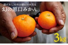 みかん 【12月中旬より配送】 幻の 原口みかん 約3kg ＜原口果樹園＞ [CCW004] 長崎 西海 みかん 原口みかん 完熟 甘い ミカン 柑橘 蜜柑 贈答 ギフト