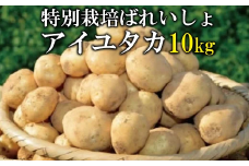 【期間限定発送】 じゃがいも 秋作産 特別栽培ばれいしょ アイユタカ 10kg 箱 [小浜特別生産組合 長崎県 雲仙市 item1771] ジャガイモ 野菜 秋じゃがいも 秋じゃが 10キロ 期間限定