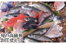 旬の高級魚お任せセット [田中鮮魚店 長崎県 雲仙市 item0253]
