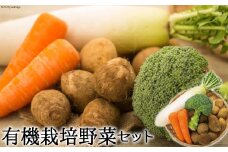 有機栽培野菜セット / 吾妻旬菜株式会社 / 長崎県 雲仙市 [item0274] / 有機栽培 野菜 詰め合わせ セット 大根 人参 里芋 じゃがいも ブロッコリー 10キロ以内