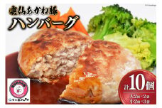 ハンバーグ 雲仙あかね豚 大2個入×2袋 小2個入×3袋 計10個 [雲仙どまんなか 長崎県 雲仙市 item1679] 豚肉 ぶたにく国産 セット 冷凍 ポークハンバーグ ブランド豚 100％ 惣菜