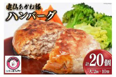 ハンバーグ 雲仙あかね豚 大2個入×10袋 計20個 [雲仙どまんなか 長崎県 雲仙市 item2132] 豚肉 ぶたにく国産 冷凍 ポークハンバーグ ブランド豚 100％ 惣菜