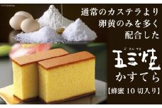 五三焼きカステラ 蜂蜜 10切入り [和泉屋 長崎県 雲仙市 item1674] かすてら はちみつ ザラメ お菓子 おやつ スイーツ ティータイム お土産 お祝い