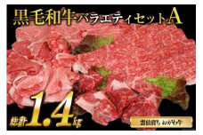 雲仙育ち おがわ牛 バラエティーセットA（A4～A5ランクのみ使用）[焼肉おがわ 長崎県 雲仙市 item2105]