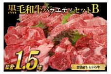 雲仙育ち おがわ牛 バラエティーセットB（A4～A5ランクのみ使用）[焼肉おがわ 長崎県 雲仙市 item2106]