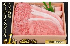 雲仙育ち おがわ牛 A5ランクのみ特選サーロインステーキ 約250g×4枚 [焼肉おがわ 長崎県 雲仙市 item2108]