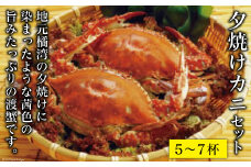 夕焼けカニ セット 5～7杯 [田中鮮魚店 長崎県 雲仙市 item1745] カニ かに 蟹 ワタリガニ セット