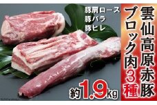 豚肉 長崎県産 雲仙高原赤豚 ブロック肉 3種 約1.9kg [長崎県農産品流通 長崎県 雲仙市 item1546] ブロック 1.9kg 肉 豚