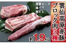 豚肉 長崎県産 雲仙高原赤豚 ブロック肉 3種 約1.9kg [長崎県農産品流通 長崎県 雲仙市 item1546] ブロック 1.9kg 肉 豚