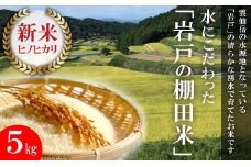 【新米予約】 令和6年 長崎県産 ひのひかり 精米 5kg 数量限定 [長崎県農産品流通 長崎県 雲仙市 item1549] 新米 米 お米 こめ おこめ コメ 5キロ 期間限定 