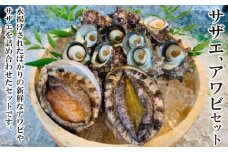 サザエ アワビ セット 1.5kg [田中鮮魚店 長崎県 雲仙市 item1742] さざえ あわび 鮑 詰め合わせ