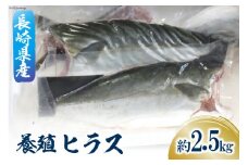 ヒラスのフィーレ 一本