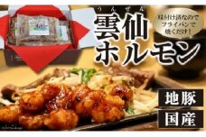 ホルモン 国産豚 雲仙ホルモンもっちゃん 2.1kg (300g×7パック) 味付け済み [長崎県農産品流通 長崎県 雲仙市 item1552] 焼肉 小分け